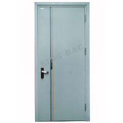 CỬA THÉP VÂN GỖ 1 CÁNH KING BAC 07