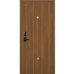 Cửa thép vân gỗ GALAXY GLX 06