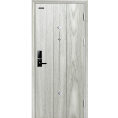 Cửa thép vân gỗ GALAXY GLX 07