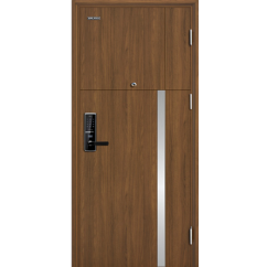 Cửa thép vân gỗ GALAXY GLX 02