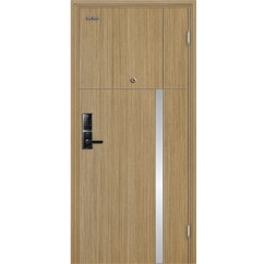 Cửa thép vân gỗ GALAXY GLX 03