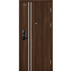 Cửa thép vân gỗ GALAXY GLX 04