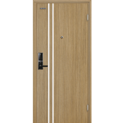 Cửa thép vân gỗ GALAXY GLX 05