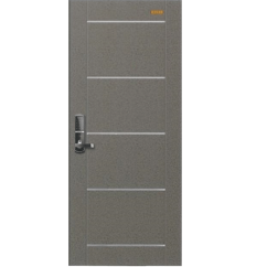 Cửa thép cao cấp Hàn Quốc HS-D109 (E)