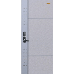 Cửa thép cao cấp Hàn Quốc HS-D111 (B)