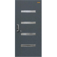 Cửa thép cao cấp Hàn Quốc HS-D106 (P)