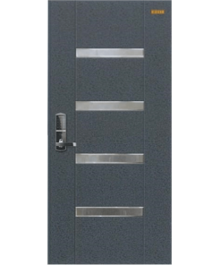 Cửa thép cao cấp Hàn Quốc HS-D106 (P)
