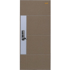 Cửa thép cao cấp Hàn Quốc HS-D107 (J)
